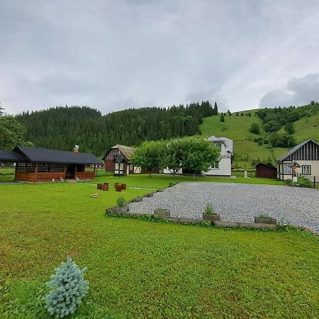 Casa Dumitru Si Elena Ciocanesti Bucovina Dış mekan fotoğraf