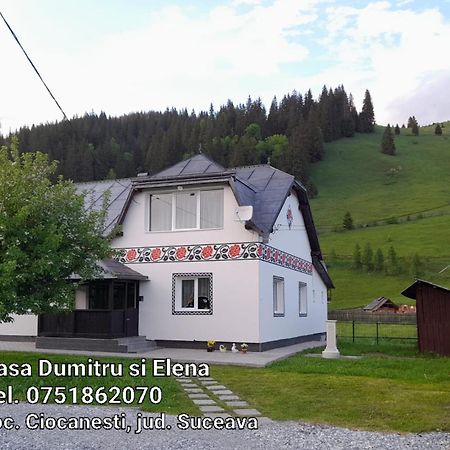 Casa Dumitru Si Elena Ciocanesti Bucovina Oda fotoğraf