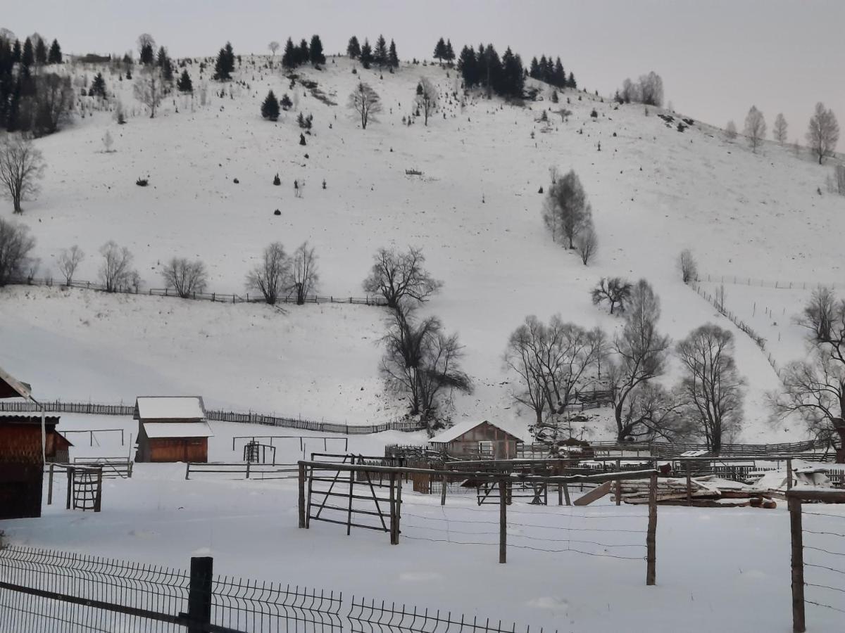 Casa Dumitru Si Elena Ciocanesti Bucovina Dış mekan fotoğraf