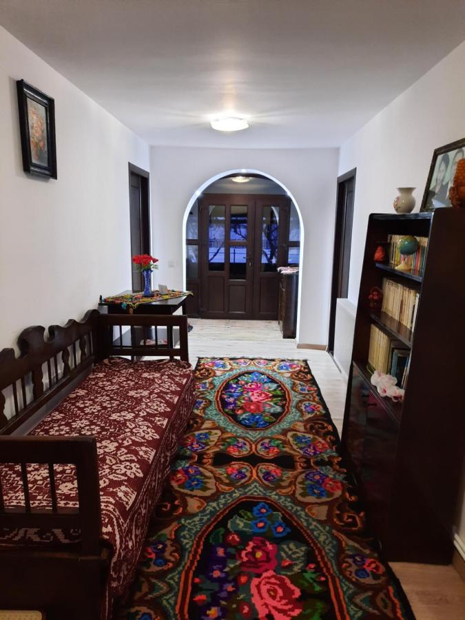 Casa Dumitru Si Elena Ciocanesti Bucovina Dış mekan fotoğraf