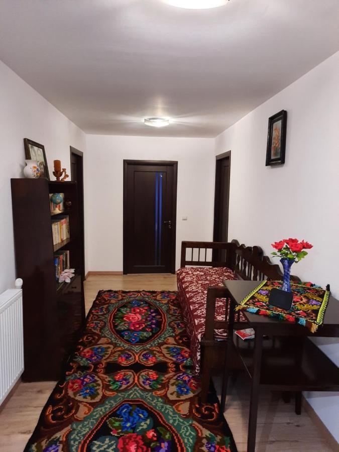 Casa Dumitru Si Elena Ciocanesti Bucovina Dış mekan fotoğraf