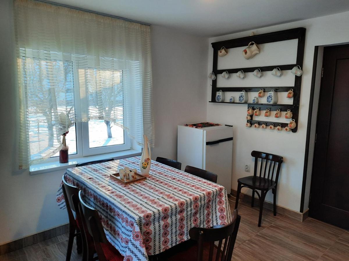 Casa Dumitru Si Elena Ciocanesti Bucovina Dış mekan fotoğraf
