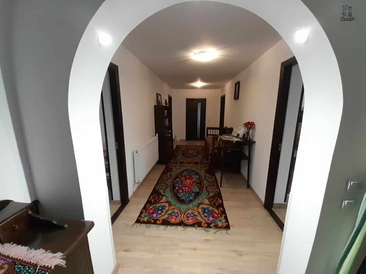 Casa Dumitru Si Elena Ciocanesti Bucovina Dış mekan fotoğraf