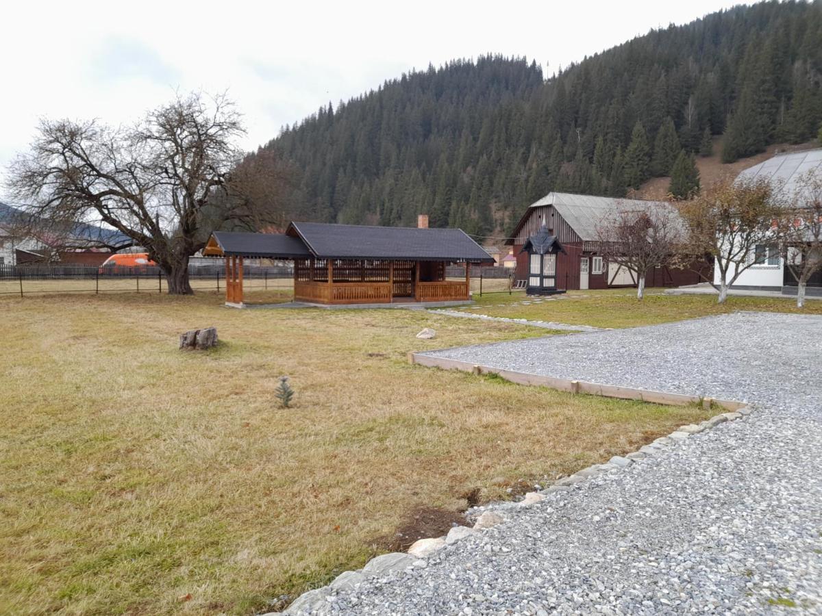 Casa Dumitru Si Elena Ciocanesti Bucovina Dış mekan fotoğraf