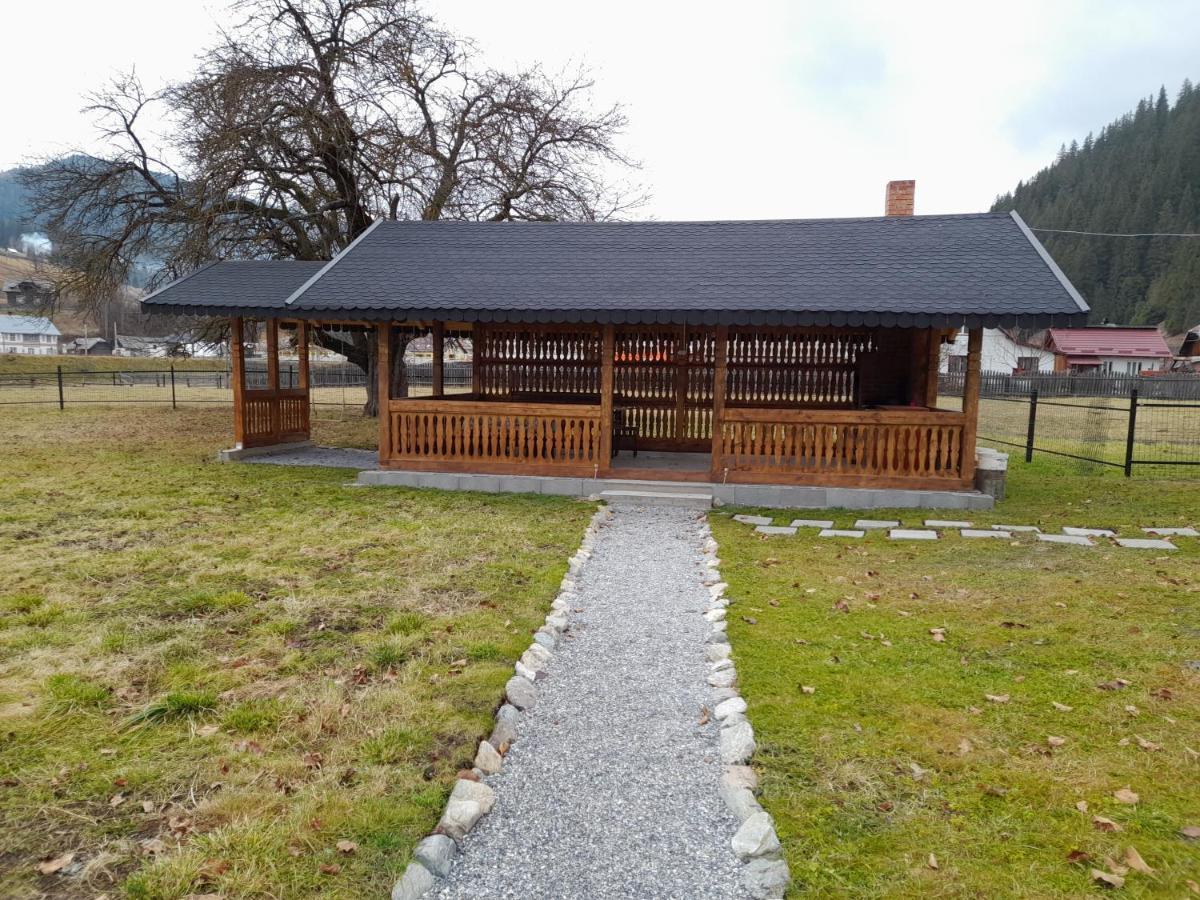 Casa Dumitru Si Elena Ciocanesti Bucovina Dış mekan fotoğraf