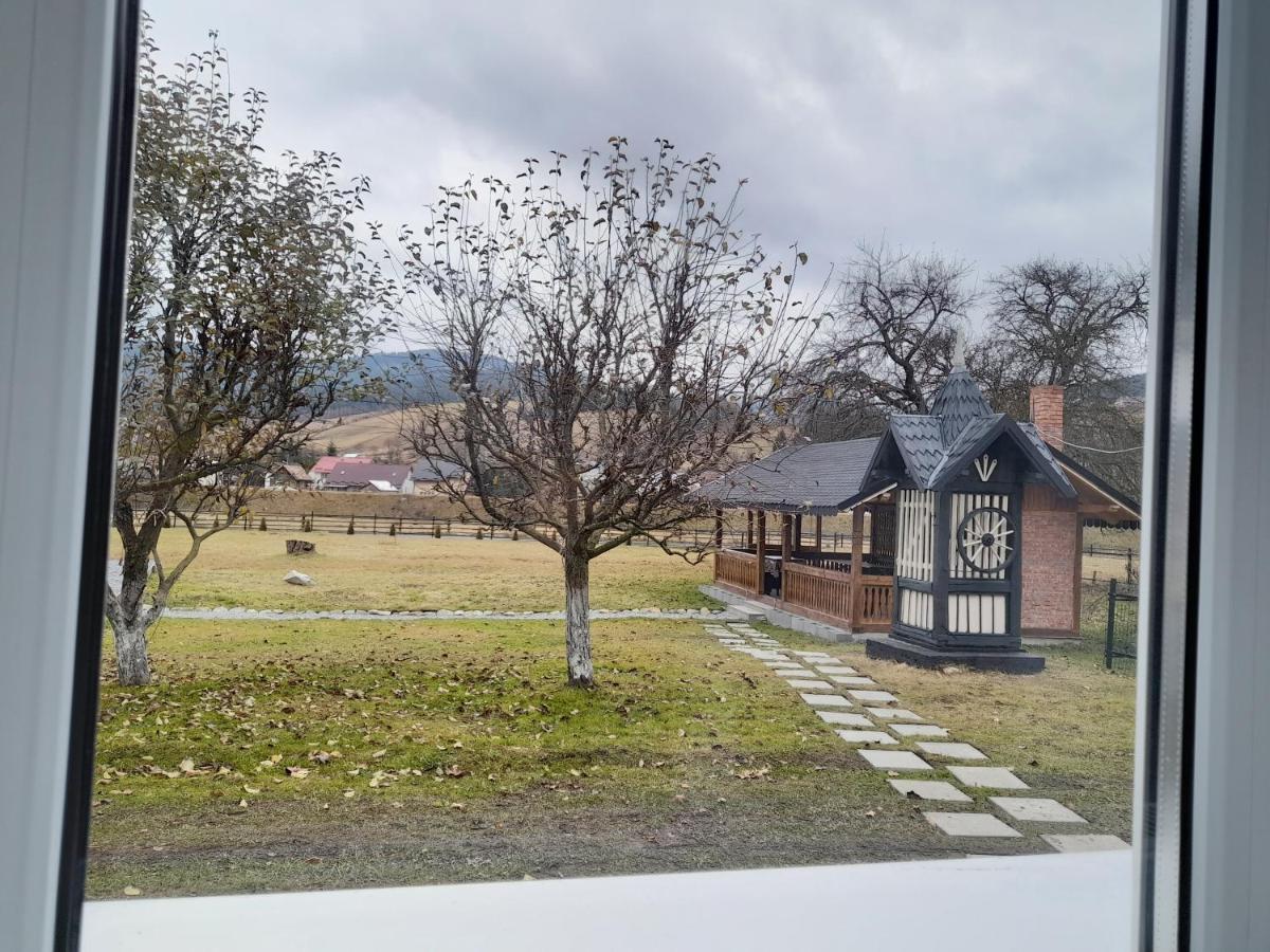 Casa Dumitru Si Elena Ciocanesti Bucovina Dış mekan fotoğraf
