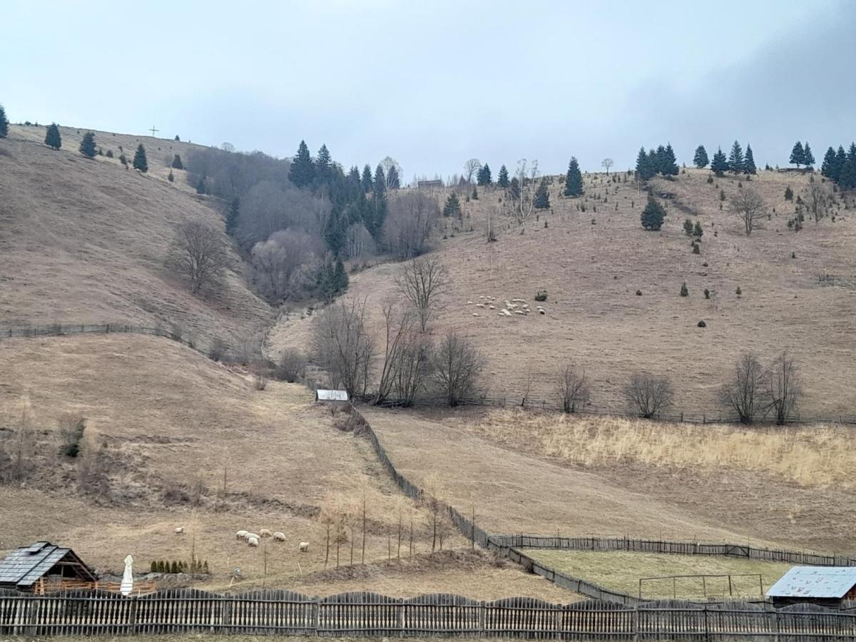 Casa Dumitru Si Elena Ciocanesti Bucovina Dış mekan fotoğraf