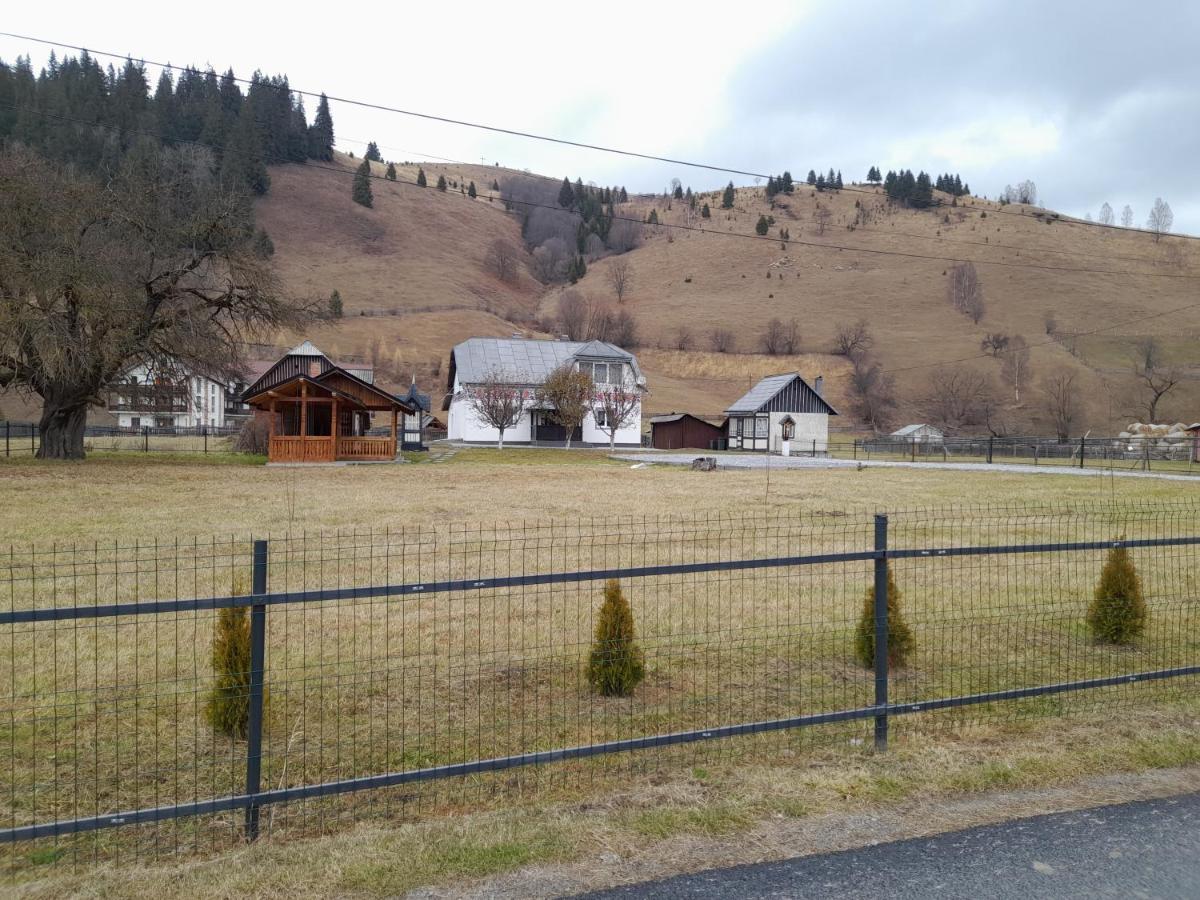Casa Dumitru Si Elena Ciocanesti Bucovina Dış mekan fotoğraf