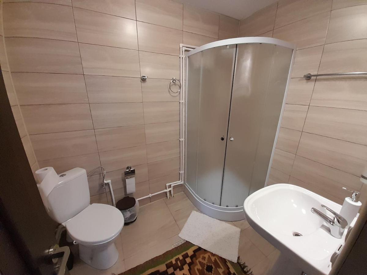 Casa Dumitru Si Elena Ciocanesti Bucovina Dış mekan fotoğraf