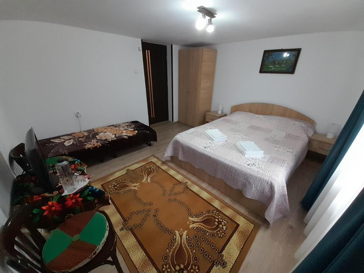 Casa Dumitru Si Elena Ciocanesti Bucovina Dış mekan fotoğraf