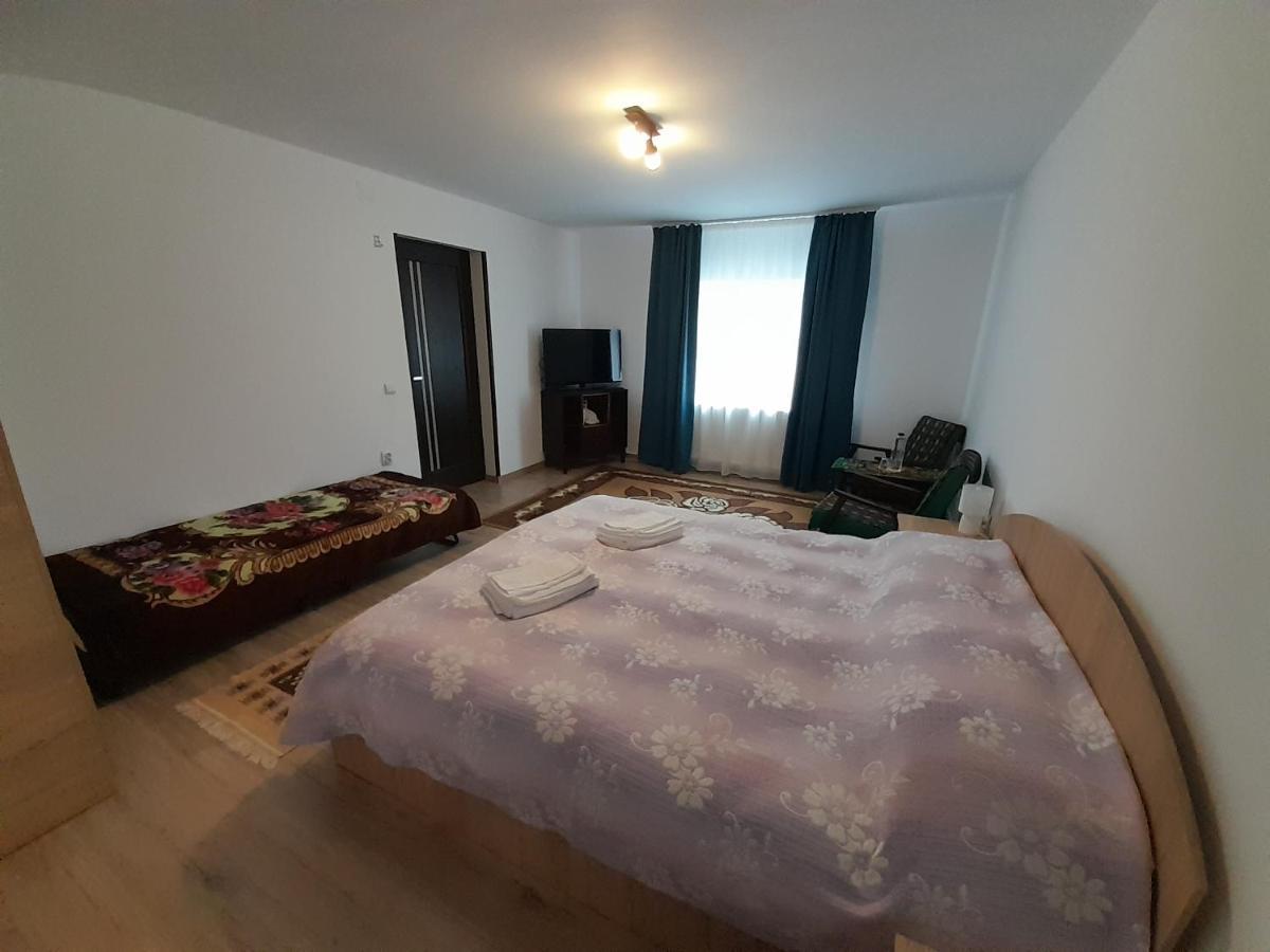 Casa Dumitru Si Elena Ciocanesti Bucovina Dış mekan fotoğraf