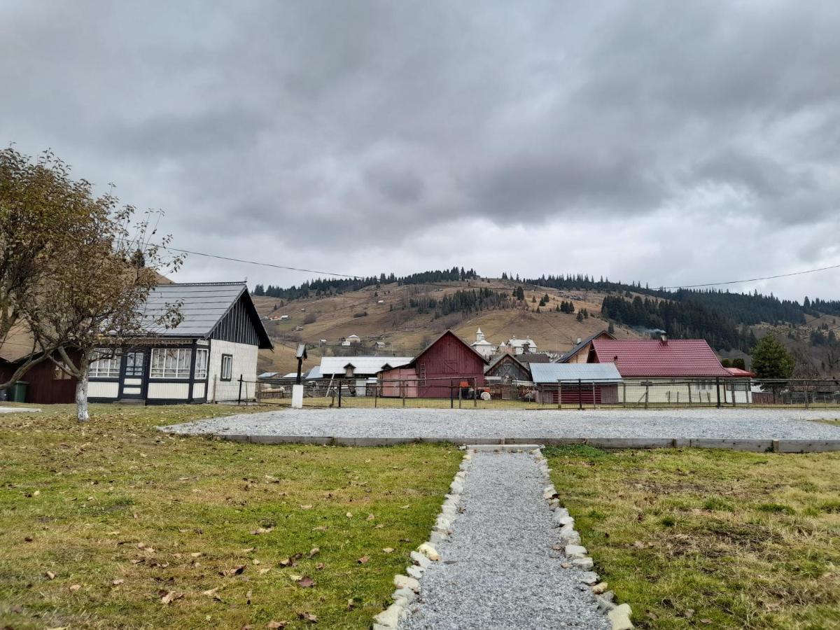 Casa Dumitru Si Elena Ciocanesti Bucovina Dış mekan fotoğraf