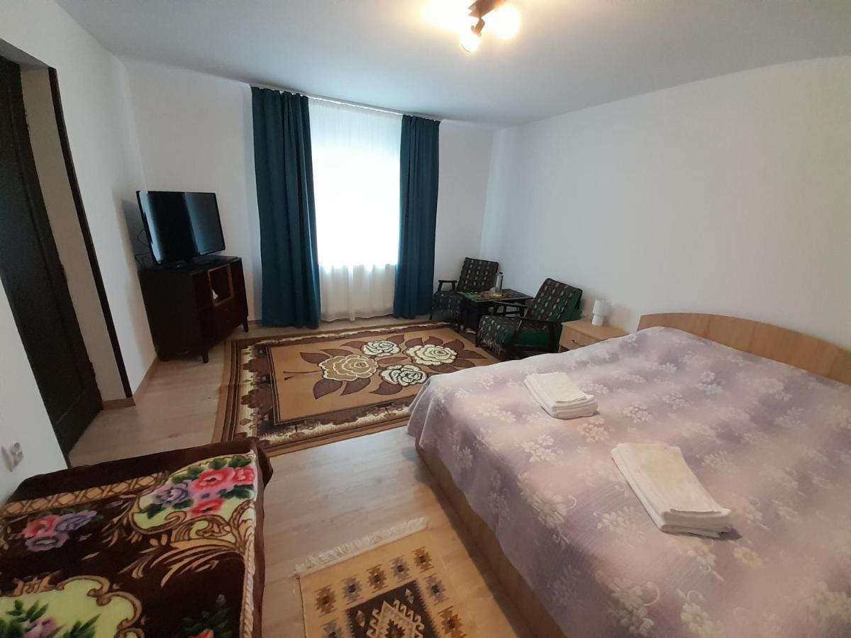 Casa Dumitru Si Elena Ciocanesti Bucovina Dış mekan fotoğraf
