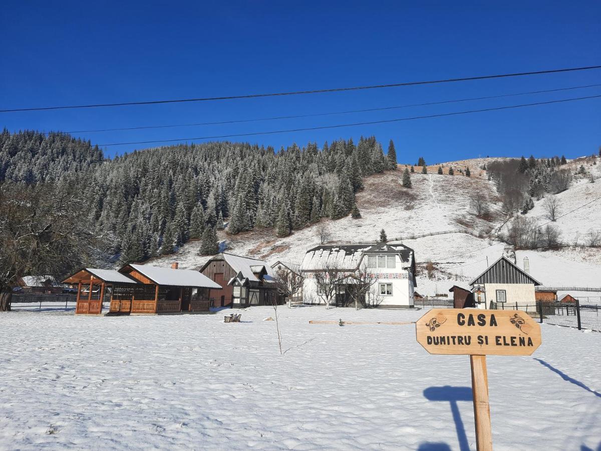 Casa Dumitru Si Elena Ciocanesti Bucovina Dış mekan fotoğraf