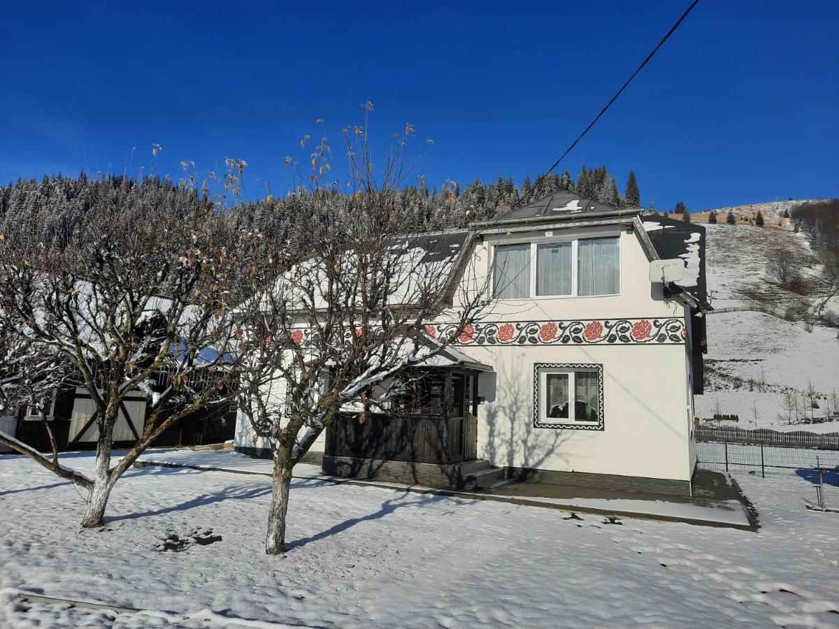 Casa Dumitru Si Elena Ciocanesti Bucovina Dış mekan fotoğraf