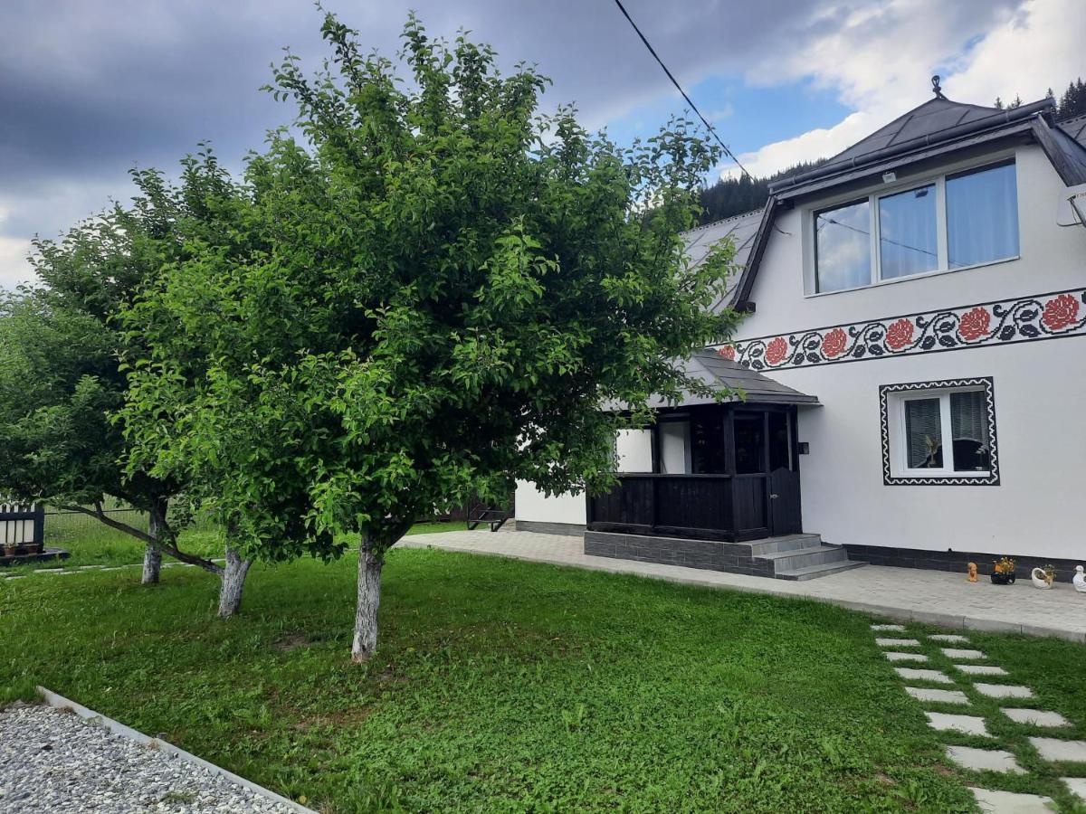 Casa Dumitru Si Elena Ciocanesti Bucovina Dış mekan fotoğraf