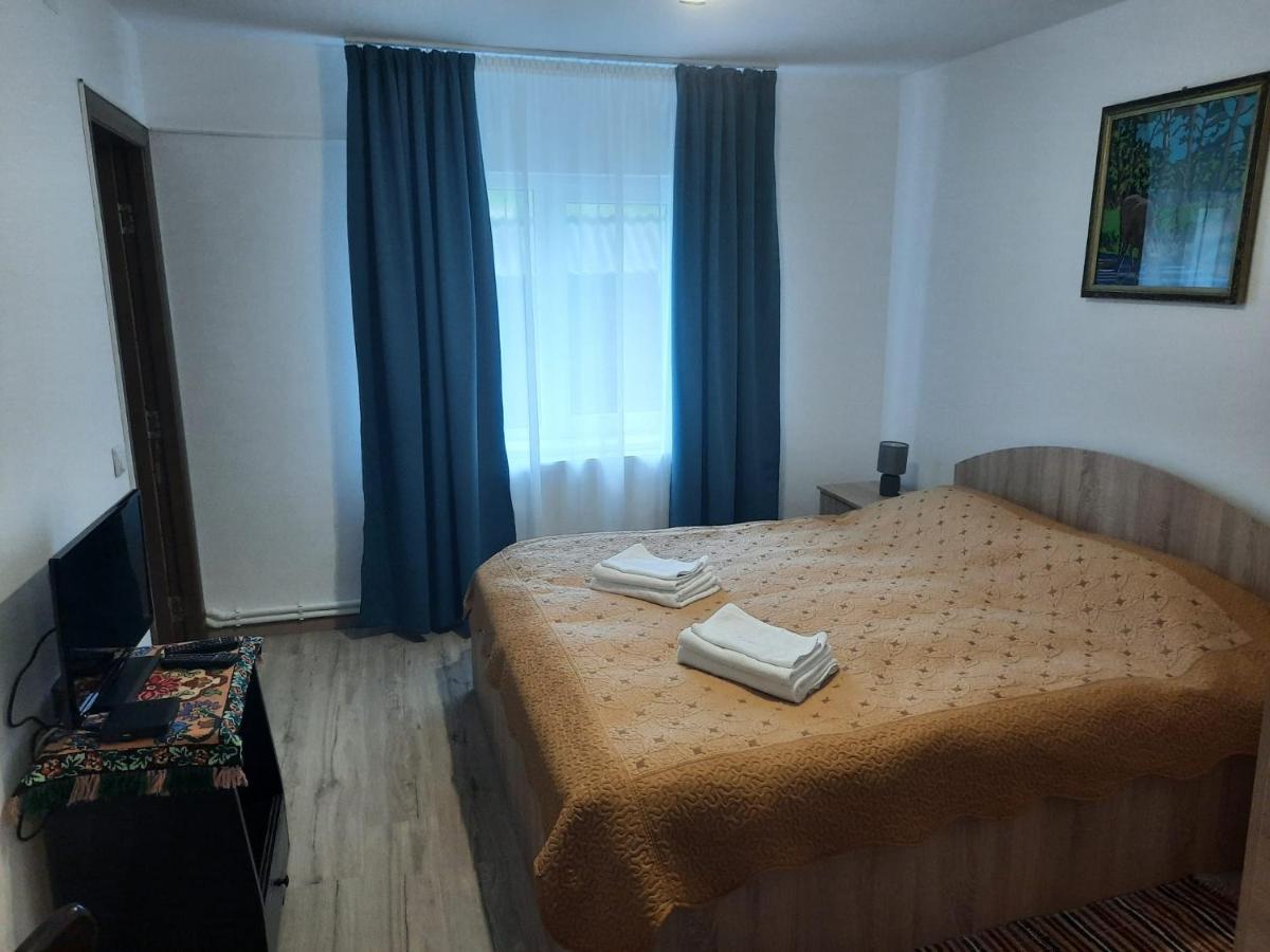 Casa Dumitru Si Elena Ciocanesti Bucovina Dış mekan fotoğraf