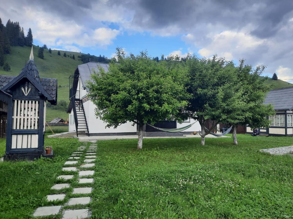 Casa Dumitru Si Elena Ciocanesti Bucovina Dış mekan fotoğraf