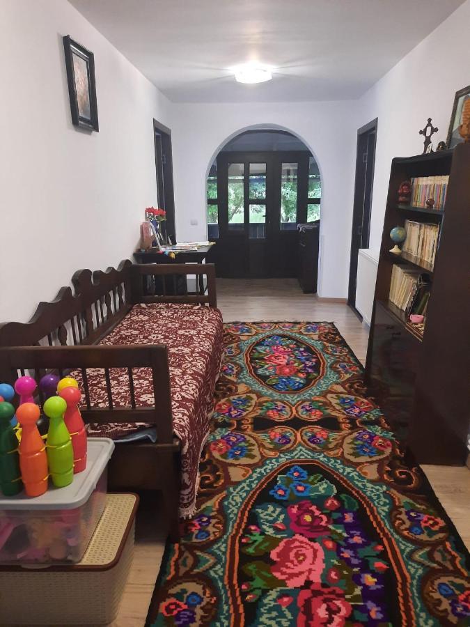 Casa Dumitru Si Elena Ciocanesti Bucovina Dış mekan fotoğraf