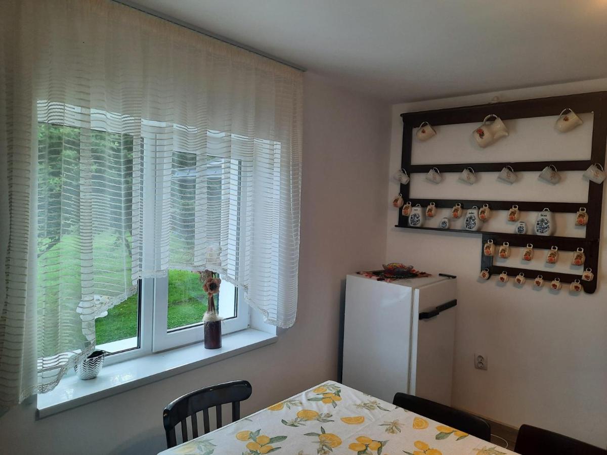 Casa Dumitru Si Elena Ciocanesti Bucovina Dış mekan fotoğraf