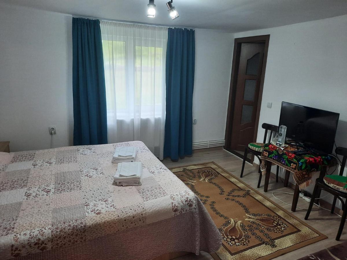 Casa Dumitru Si Elena Ciocanesti Bucovina Dış mekan fotoğraf