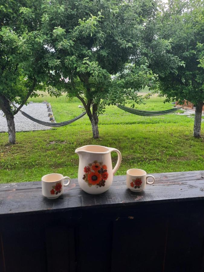 Casa Dumitru Si Elena Ciocanesti Bucovina Dış mekan fotoğraf