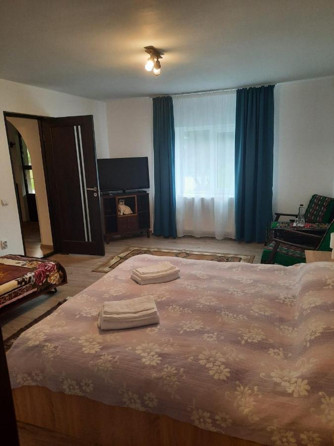 Casa Dumitru Si Elena Ciocanesti Bucovina Dış mekan fotoğraf