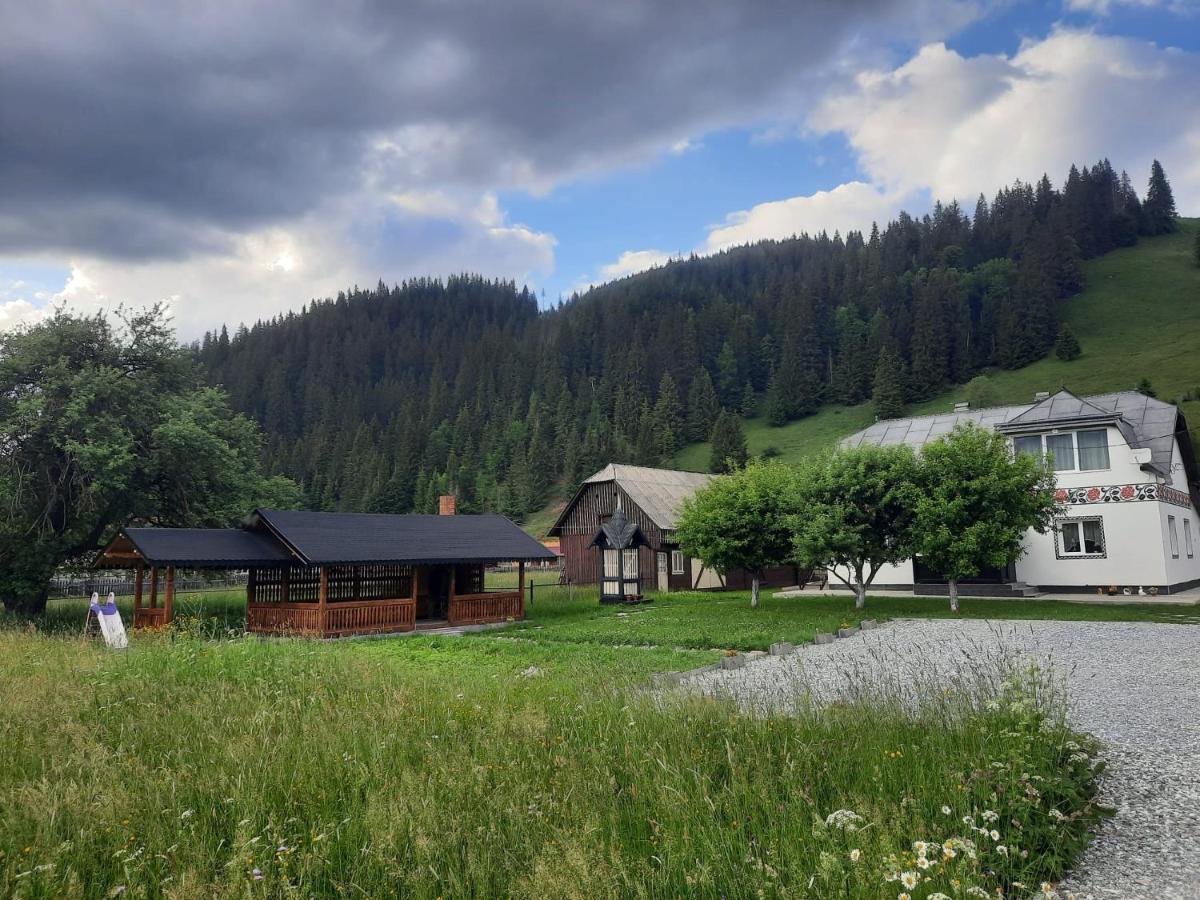 Casa Dumitru Si Elena Ciocanesti Bucovina Dış mekan fotoğraf