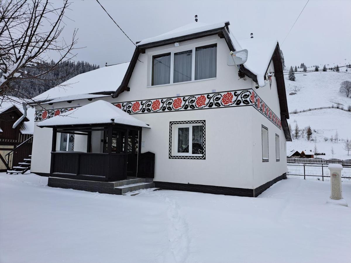 Casa Dumitru Si Elena Ciocanesti Bucovina Dış mekan fotoğraf