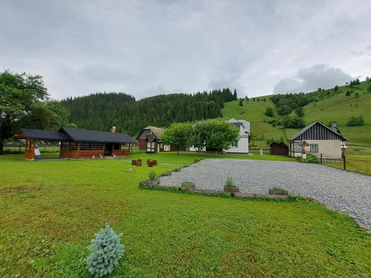 Casa Dumitru Si Elena Ciocanesti Bucovina Dış mekan fotoğraf